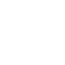 Angry Chickz